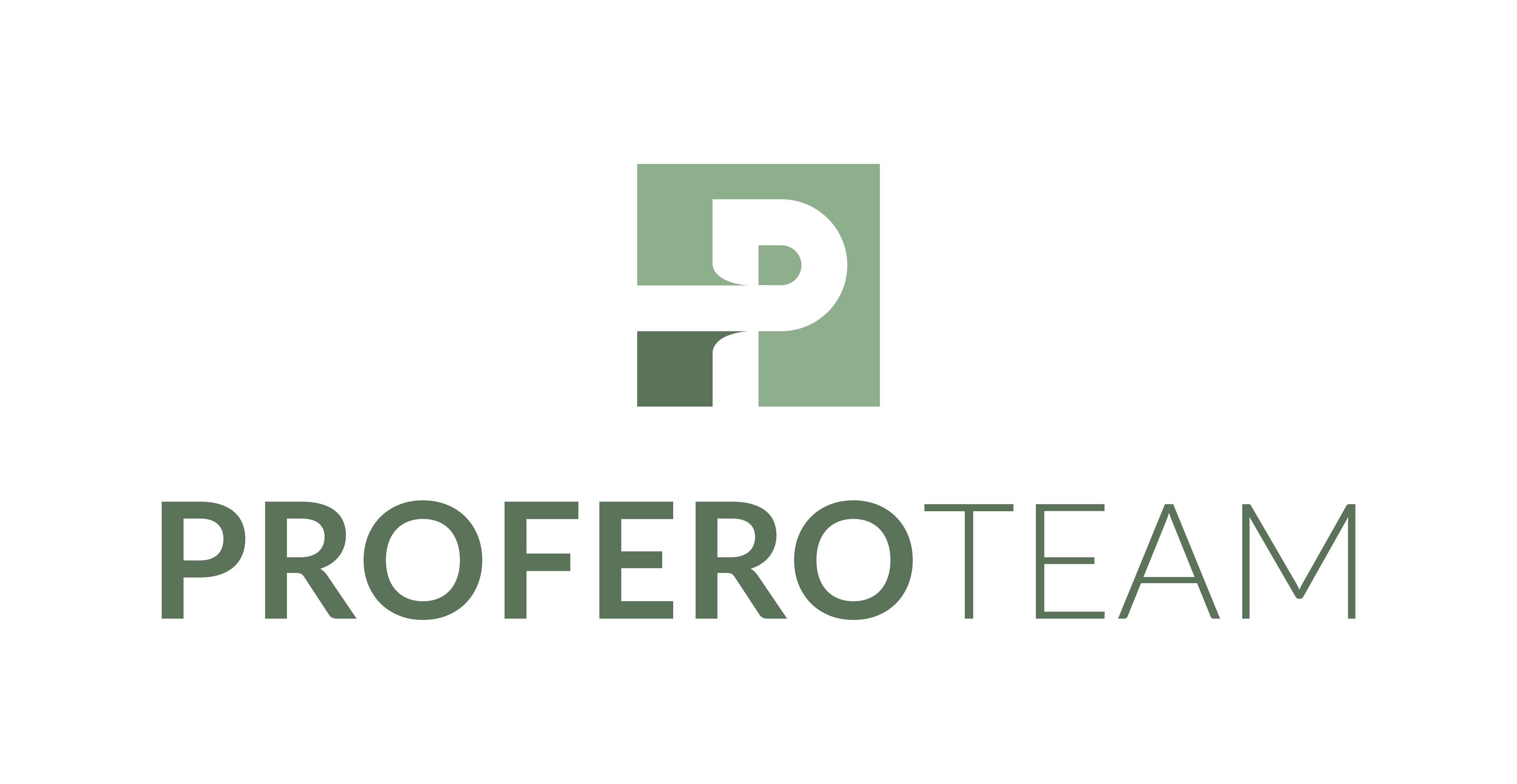 Profero Team